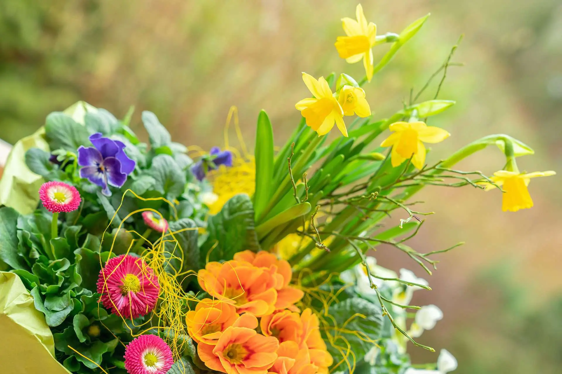Gartenbaugruppe Würzburg – Bunte Frühlingskiste