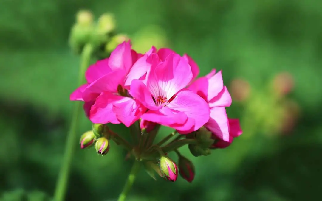 Start in den Sommer: Pink und Violett 2020