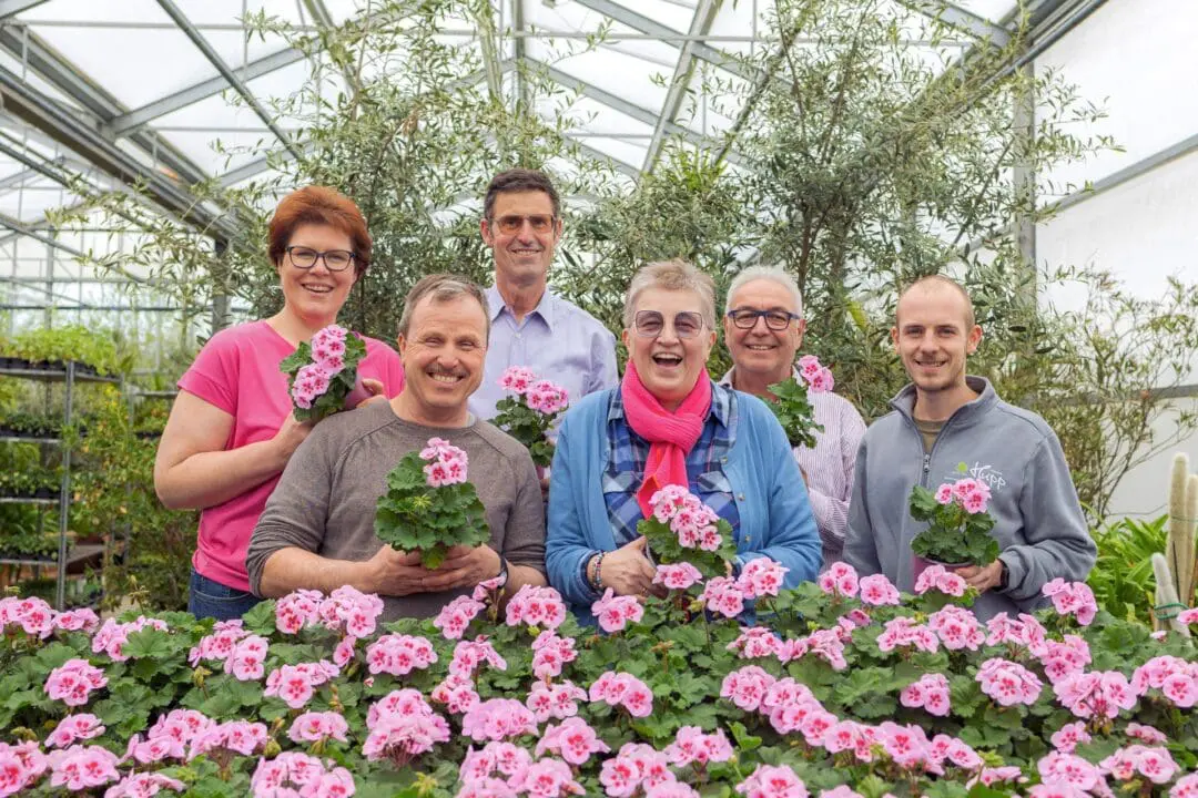 Die Benefizgeranie "Luise" der Gartenbaugruppe Würzburg