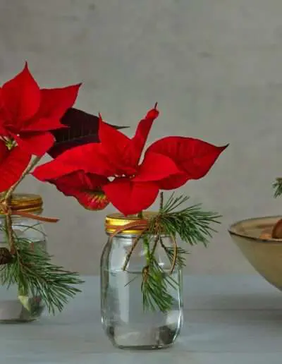 Clevere weihnachtliche Tischdeko mit Weihnachtssternen