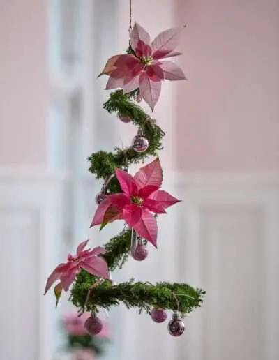 Dekoidee mit märchenhaftem Weihnachtsstern