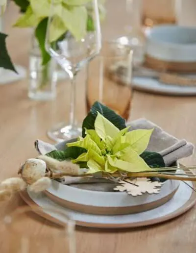 Dezente natürliche Tischdeko mit Poinsettia