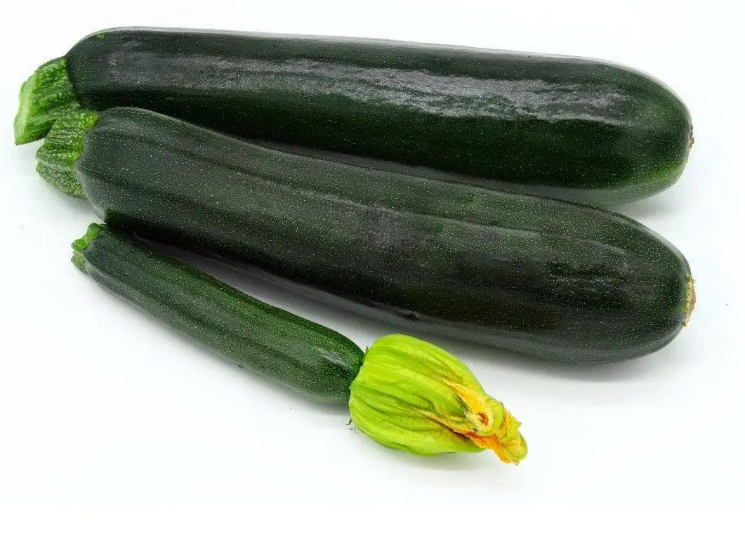 Fred Zucchini Grün Mit Blüte