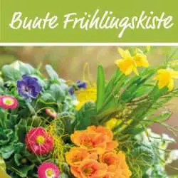 Die bunte Frühlingskiste der Gartenbaugruppe Würzburg
