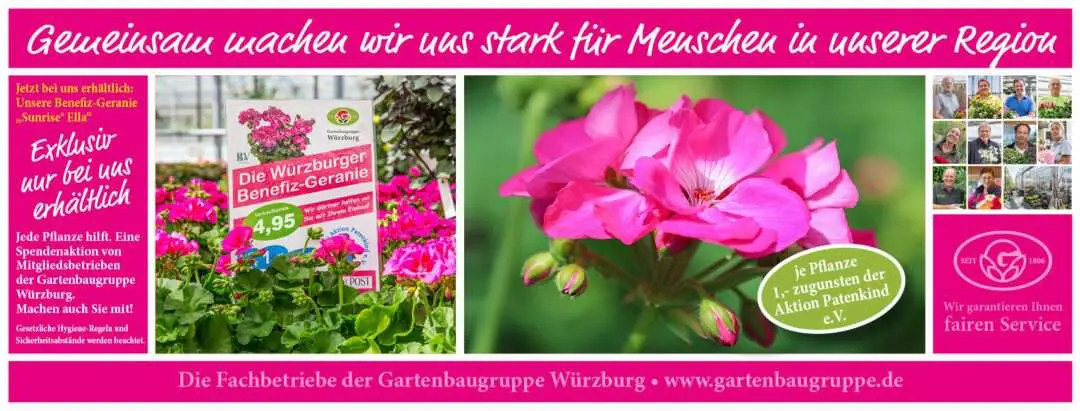 Die Würzburger Benefizgeranie Der Gartenbaugruppe