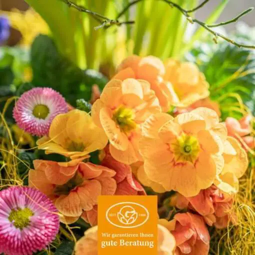 Gartenbaugruppe Banner Blumen für FRUEHLING Quadrat 202310