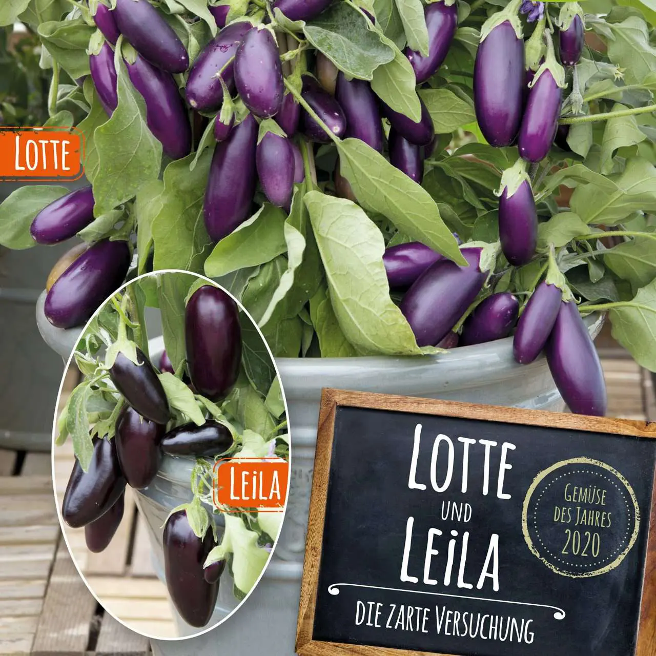 Lotte und Leila