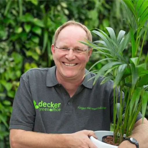 Fachbetriebe Der Gartenbaugruppe Würzburg