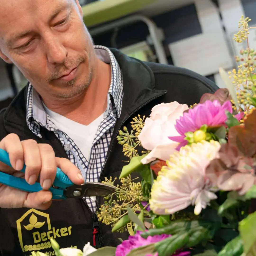 Gartenbaugruppe Würburg Wir Garantieren Fairen Service Gartenbaugruppe Würburg Wir Garantieren Fairen Service