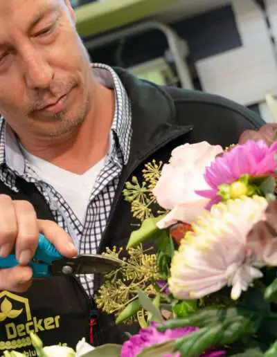 Gartenbaugruppe Würburg Wir Garantieren Fairen Service