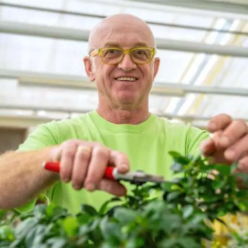 Fachbetriebe Der Gartenbaugruppe Würzburg