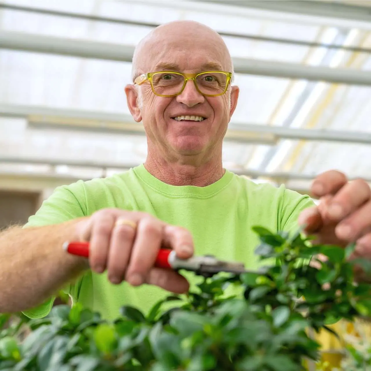Fachbetriebe Der Gartenbaugruppe Würzburg