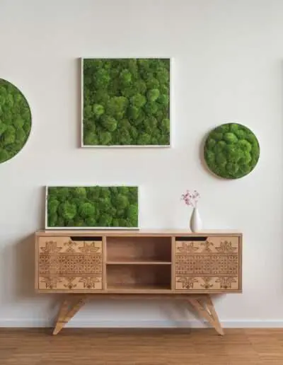 mehrere Moosbilder kombiniert