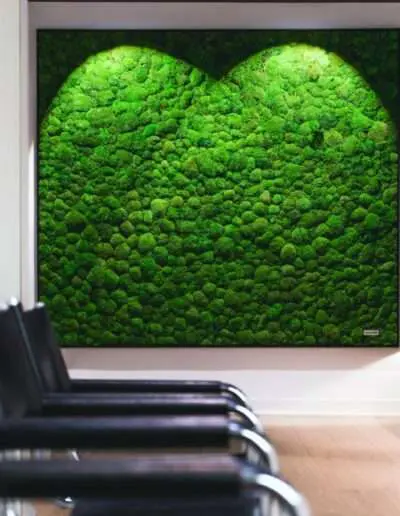 große Mooswand für Büros