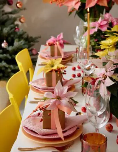 Pastellweihnachten mit Weihnachtsstern Blüten