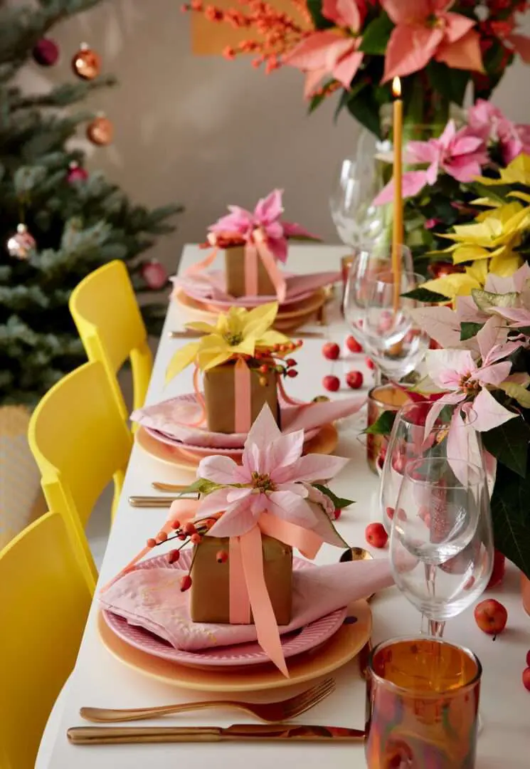 Pastellweihnachten mit Weihnachtsstern Blüten
