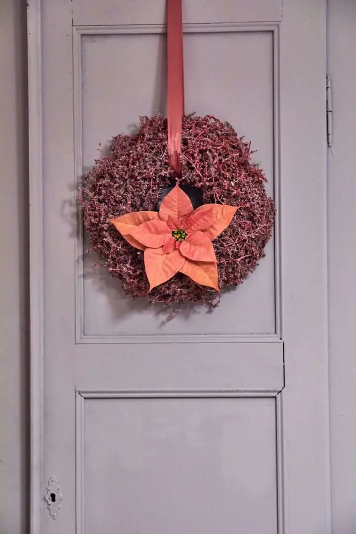 Poinsettia Türkranz rosefarben