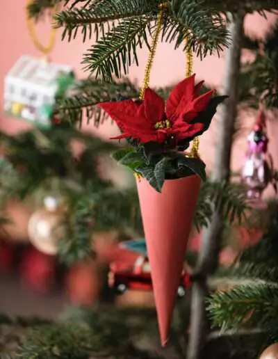 Weihnachtsstern Wunschtüte