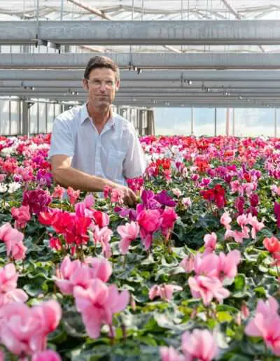 Blumenwerkstatt Rippel Ganzjährig Eigener Pflanzenanbau