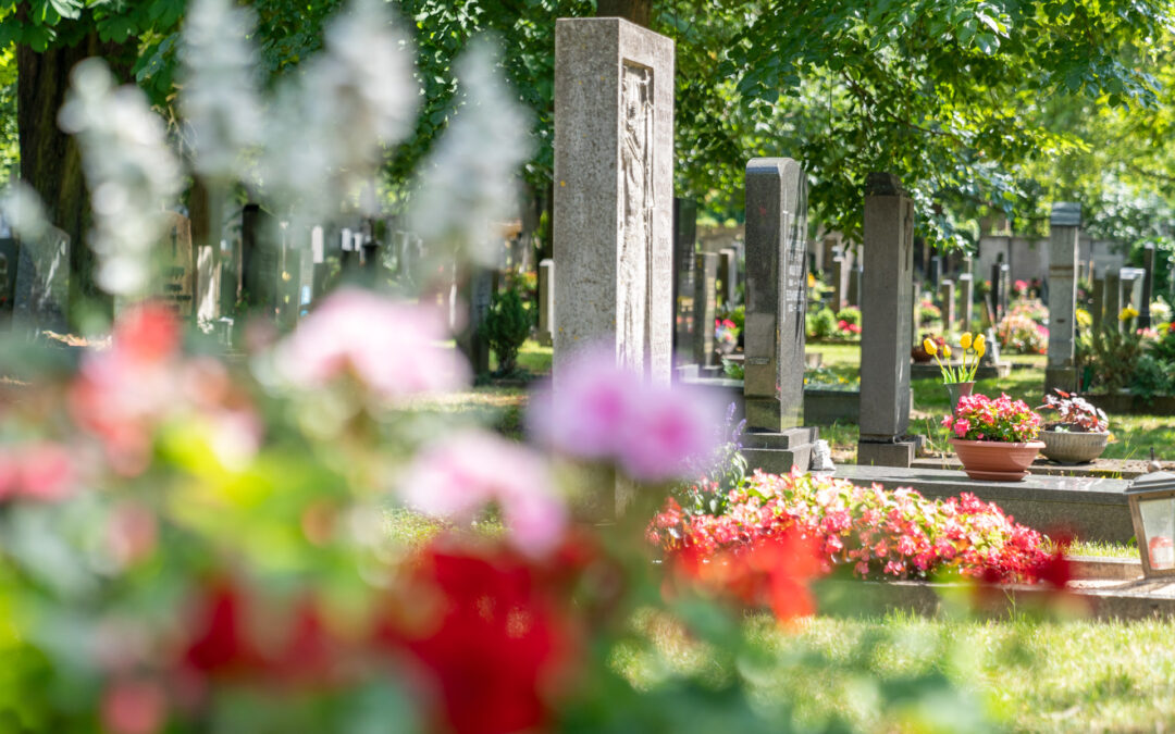 Die 8 wichtigsten Arbeiten (nicht nur) zu Allerheiligen für Grabpflege und Grabschmuck