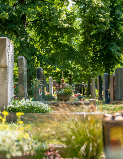 Friedhof im Sommer