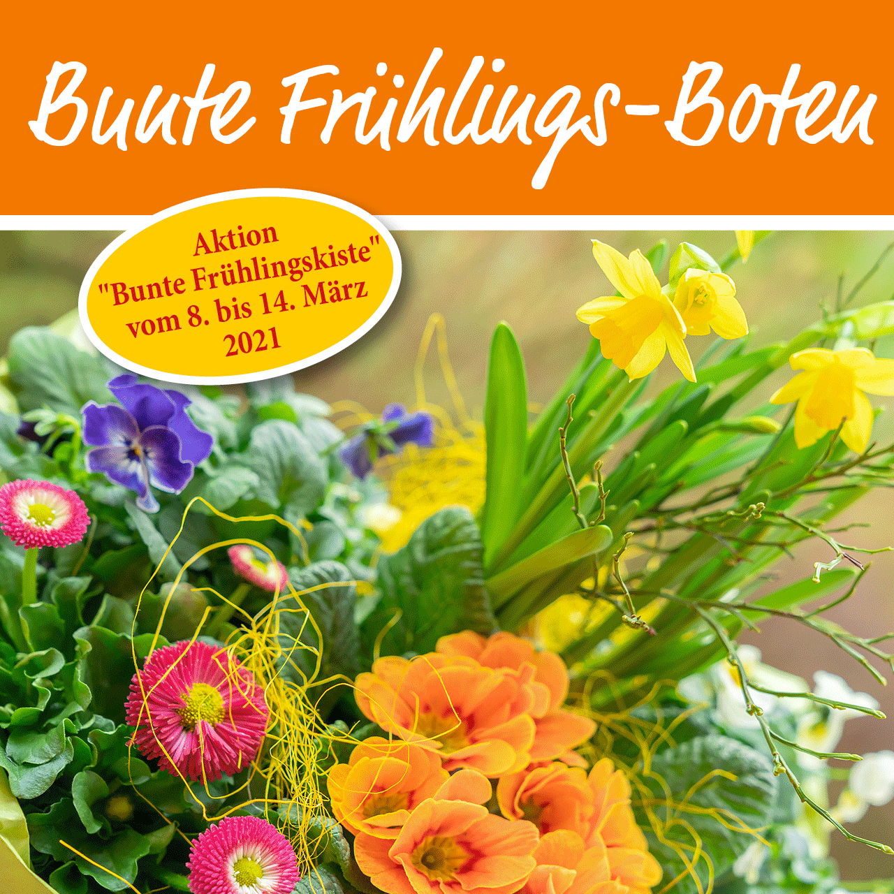 Gartenbaugruppe Banner Bunte Fruehlingskiste2021 Quad Blog