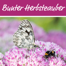 Gartenbaugruppe Banner Bunter Herbstzauber 2021